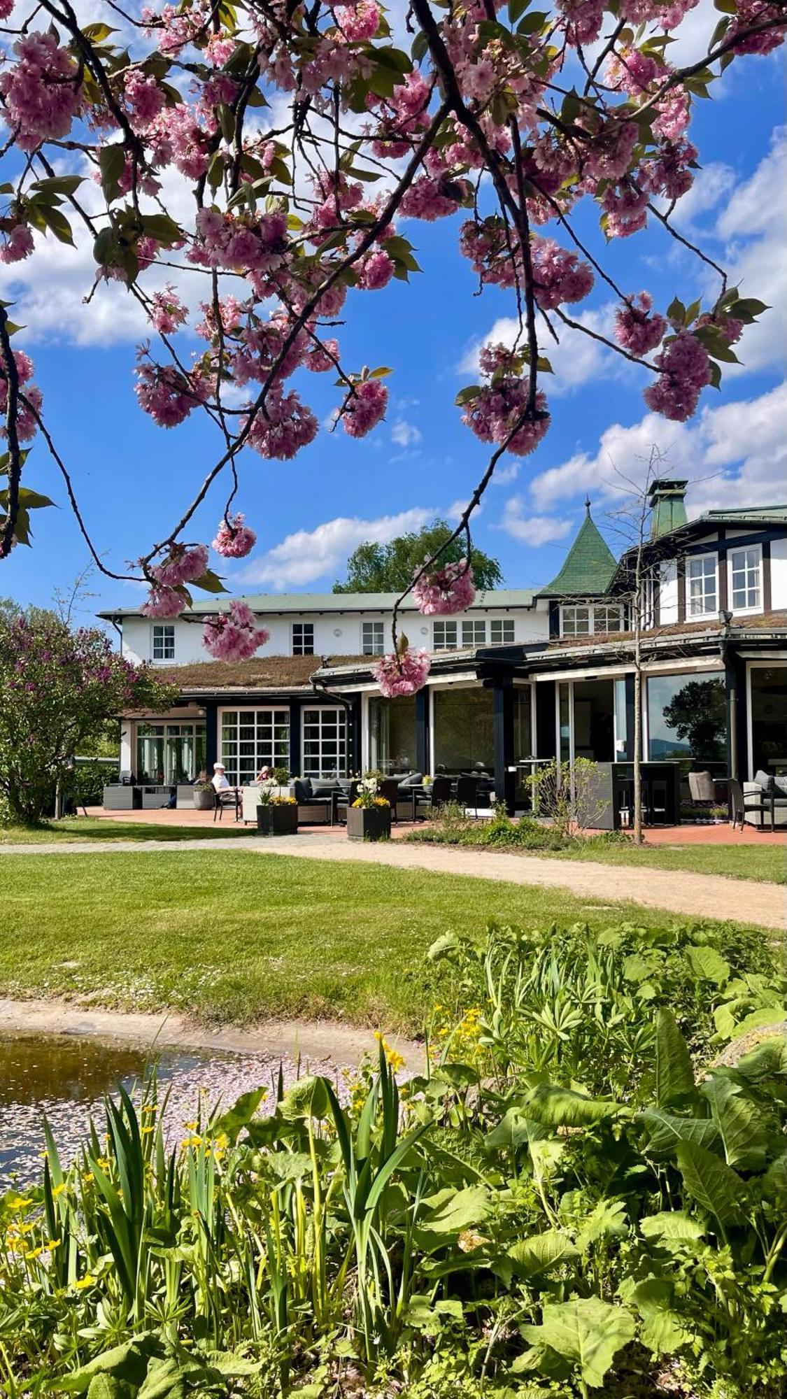 Hotel Deimann Schmallenberg Bagian luar foto